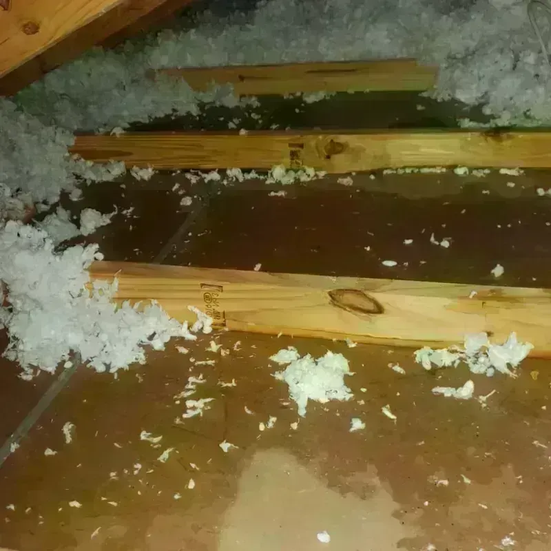 Attic Water Damage in Lovell, WY